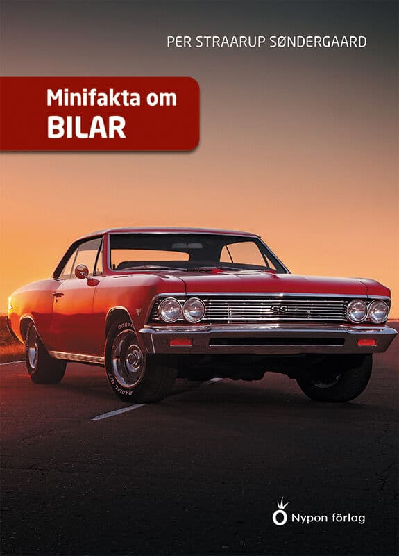 Per Straarup Søndergaard : Minifakta om bilar