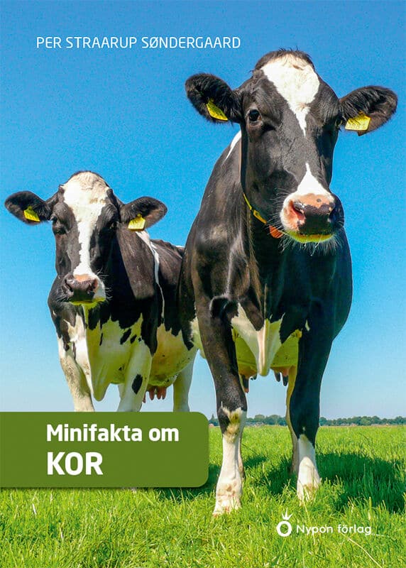 Per Straarup Søndergaard : Minifakta om kor