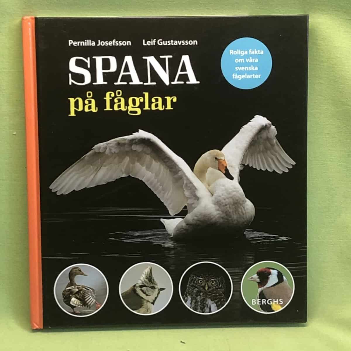 Pernilla Josefsson : Spana på fåglar