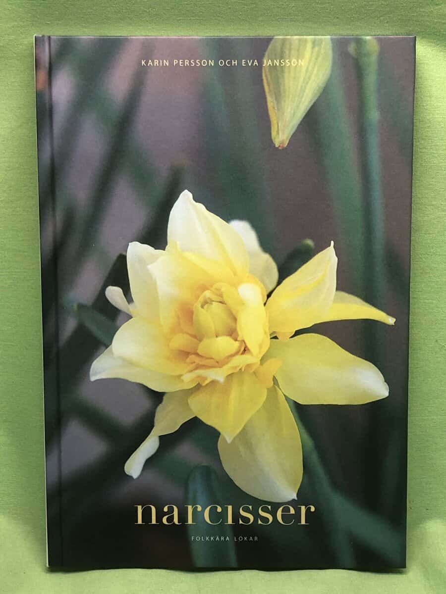 Persson, Karin ; Jansson, Eva : Narcisser