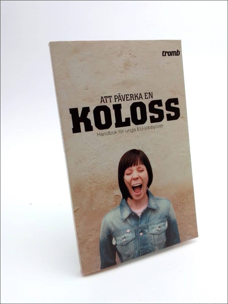 Peter Ahlgren : Att påverka en koloss