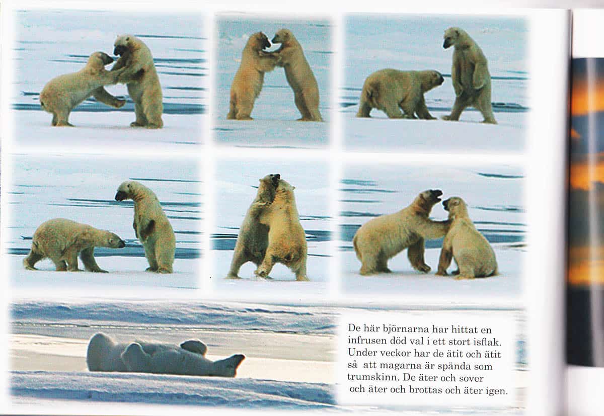 Peter Burman : Svalbard och m/s Origo i Norra ishavet