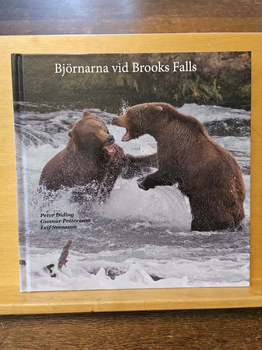 Peter Diding : Björnarna vid Brooks Fall