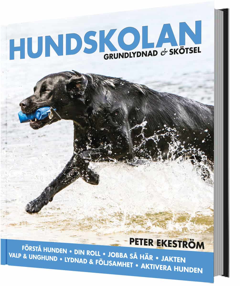 Peter Ekeström : Hundskolan