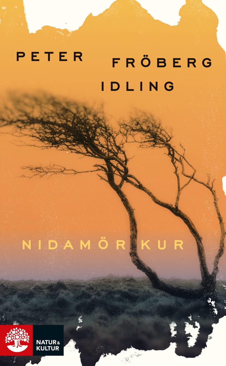 Peter Fröberg Idling : Nidamörkur