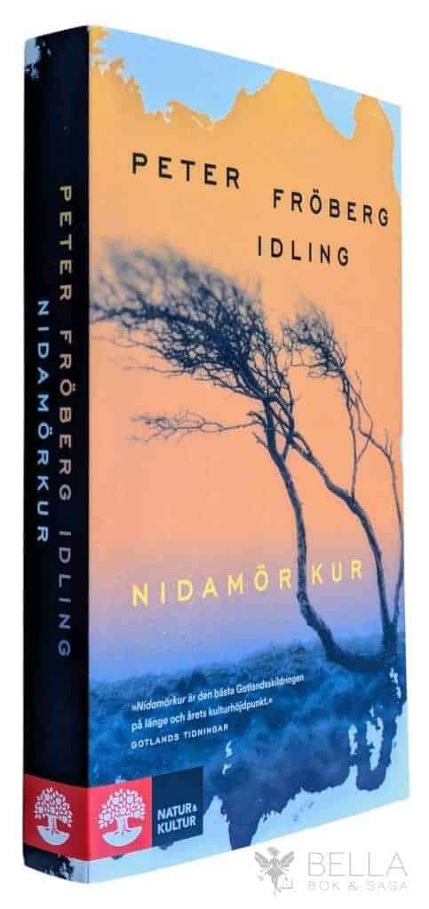 Peter Fröberg Idling : Nidamörkur