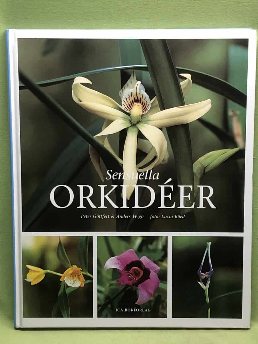 Peter Göttfert : Sensuella orkidéer