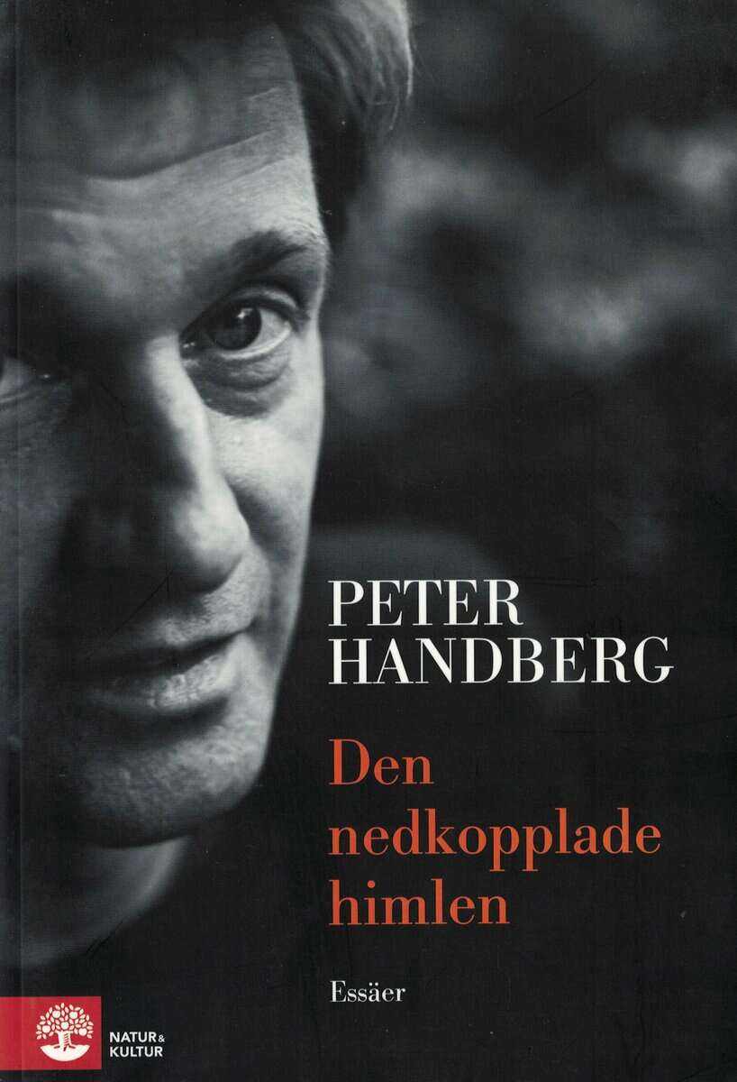 Peter Handberg : Den nedkopplade himlen