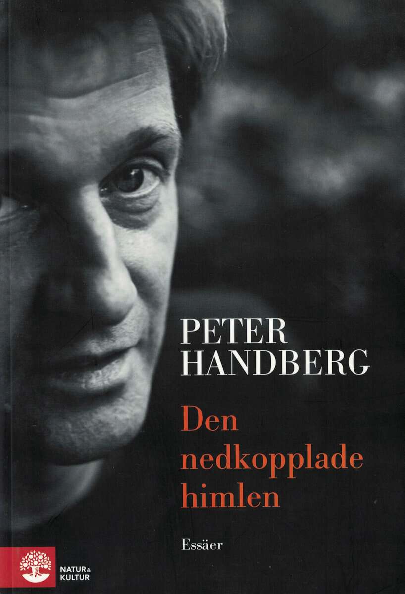 Peter Handberg : Den nedkopplade himlen