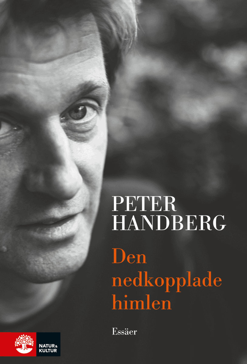 Peter Handberg : Den nedkopplade himlen och andra essäer