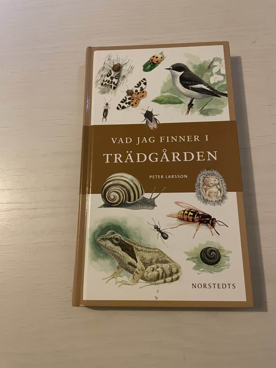 Peter Larsson : Vad jag finner i trädgården