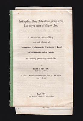 Peter Olsson : Iakttagelser öfver matsmältningsorganerna hos några arter af slägtet Mus
