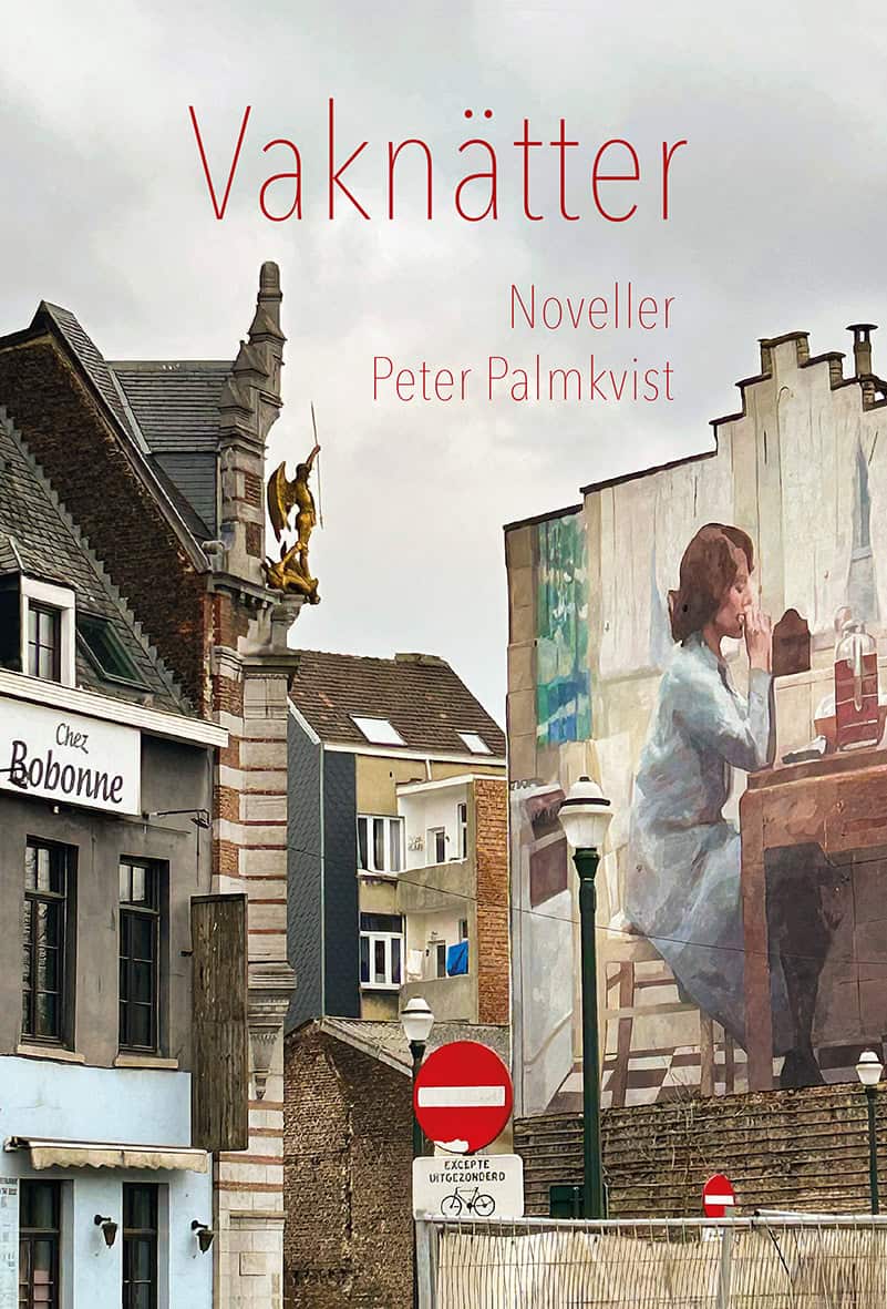 Peter Palmkvist : Vaknätter