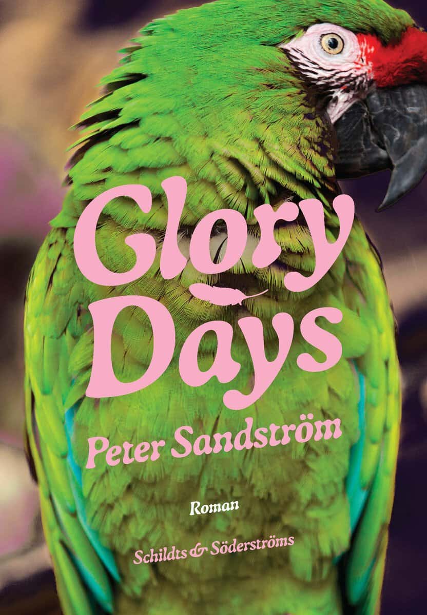 Peter Sandström : Glory Days