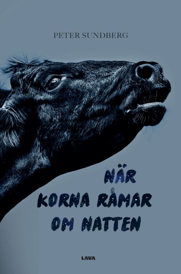 Peter Sundberg : När korna råmar om natten