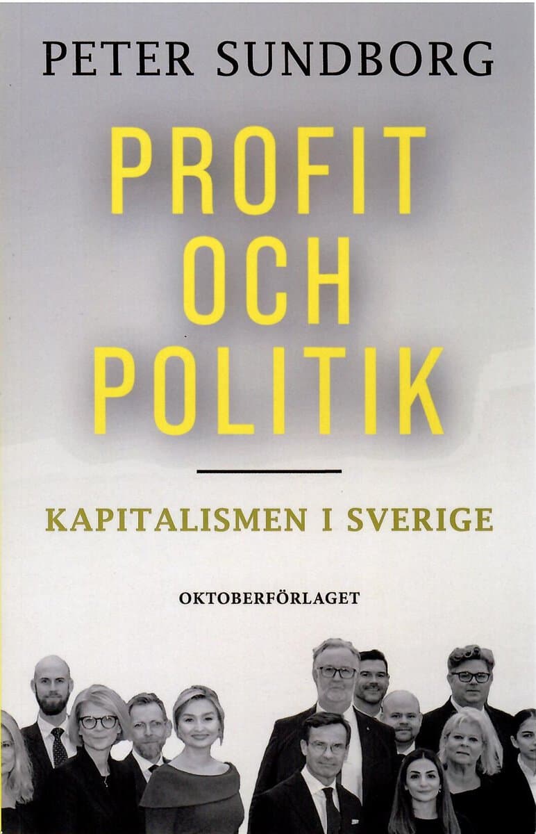 Peter Sundborg : Profit och politik