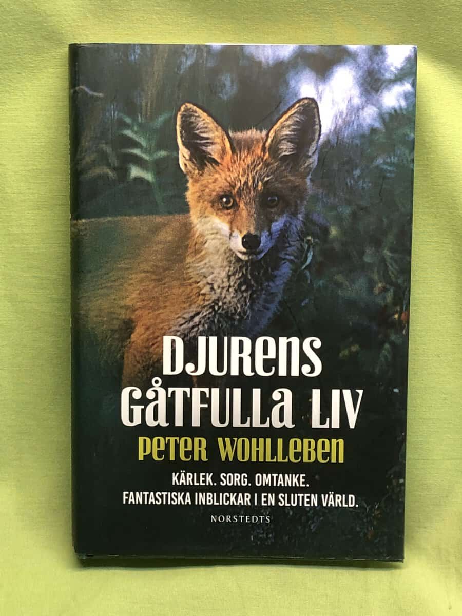 Peter Wohlleben : Djurens gåtfulla liv