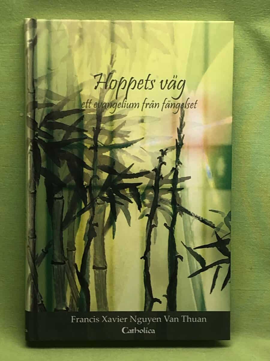 Phanxicô Xaviê V n Thuan Nguyên : Hoppets väg