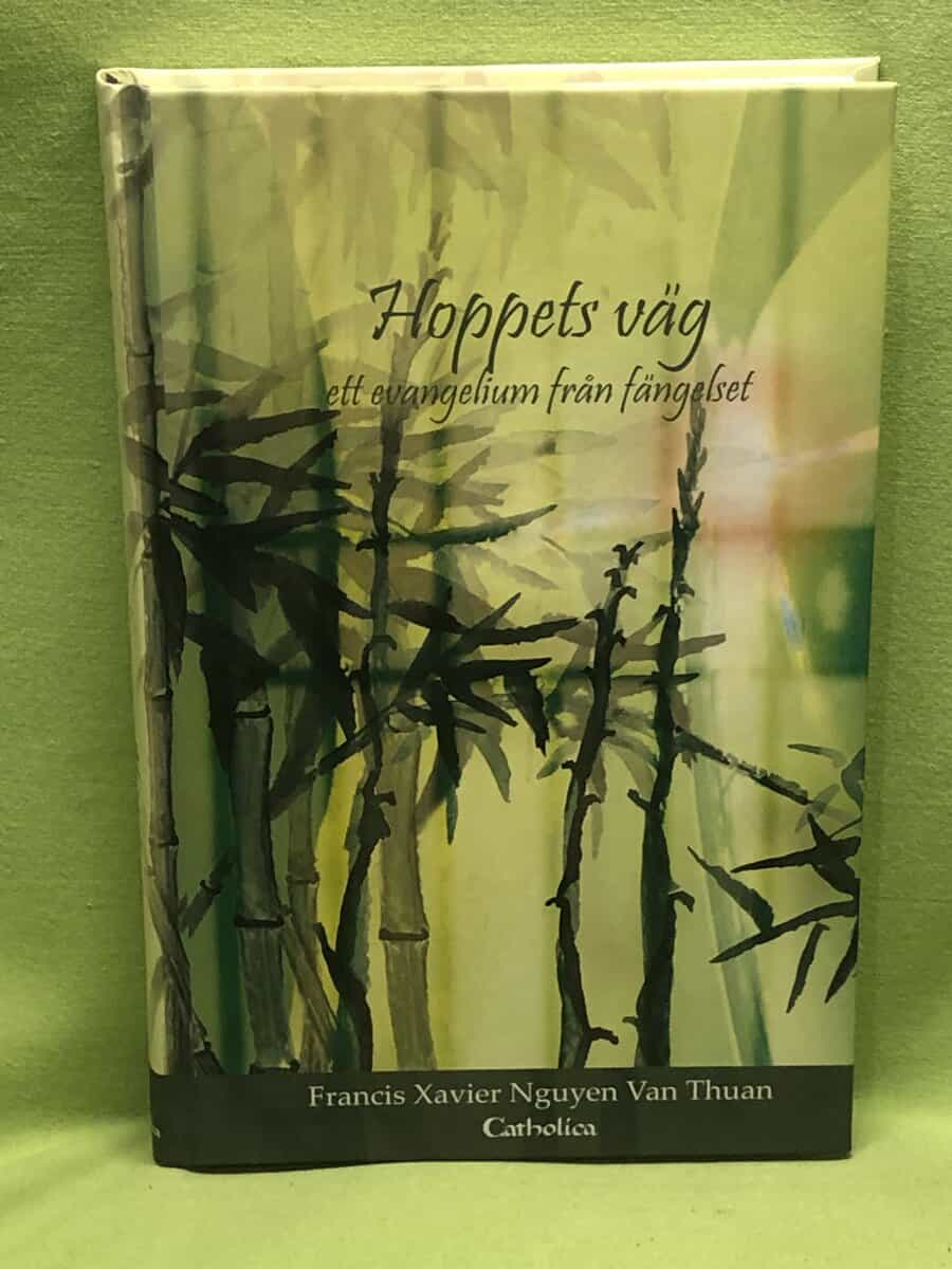 Phanxicô Xaviê V n Thuan Nguyên : Hoppets väg