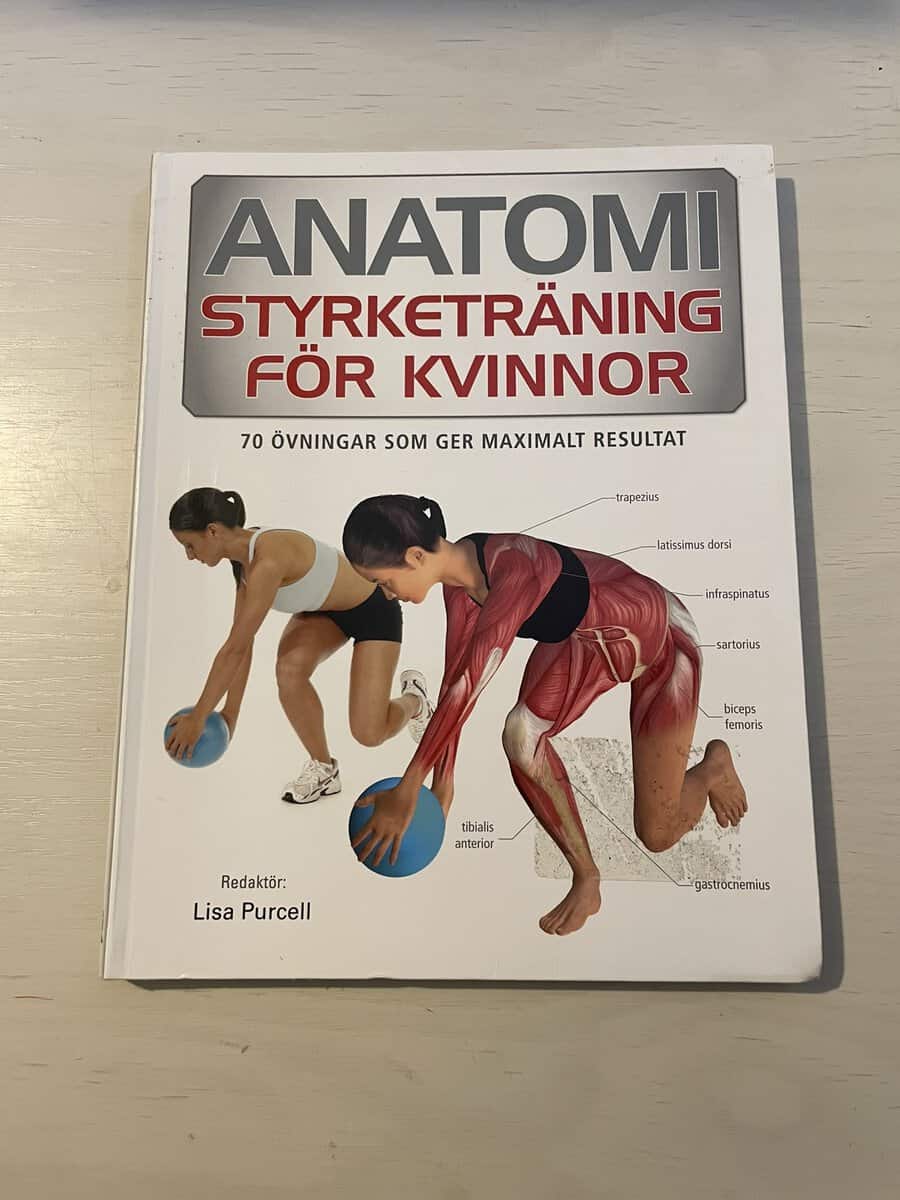 Philip Striano : Anatomi