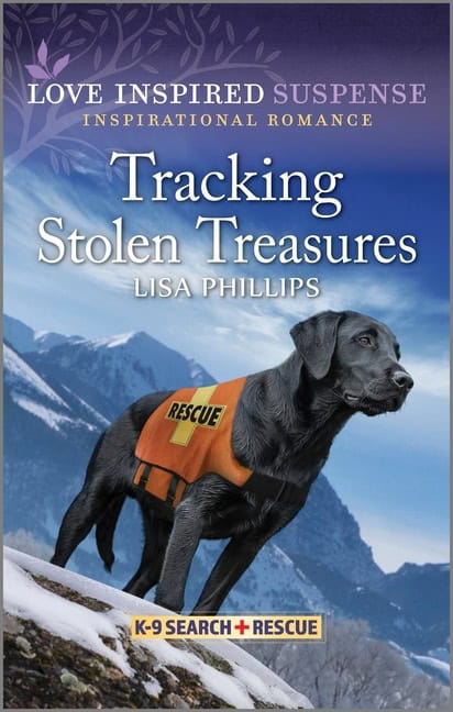 Phillips Lisa : Tracking Stolen Treasures