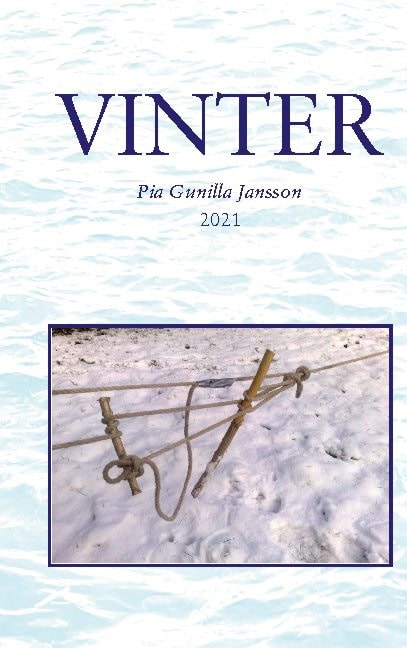 Pia Gunilla Jansson : Vinter