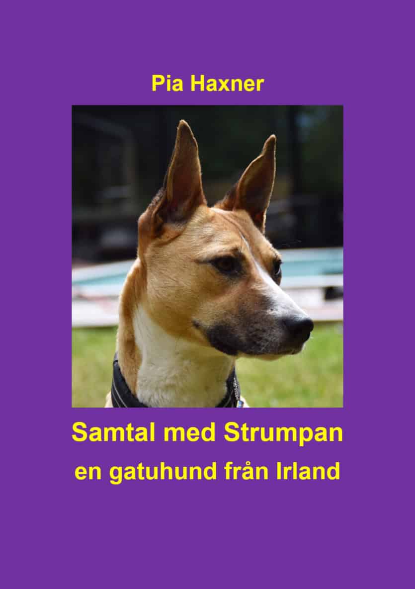 Pia Haxner : Samtal med Strumpan : en gatuhund från Irland