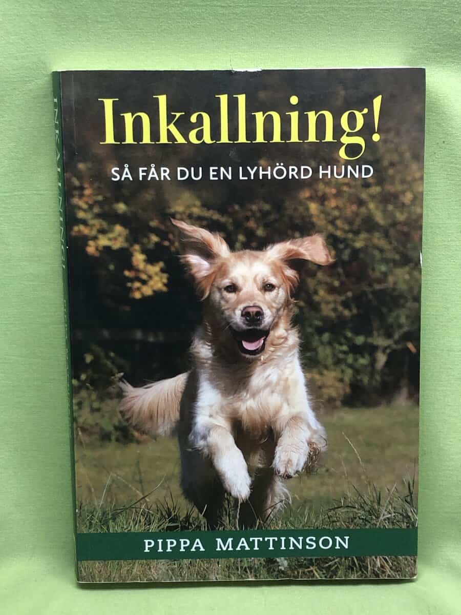 Pippa Mattinson : Inkallning!