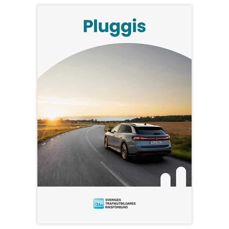 Pluggis