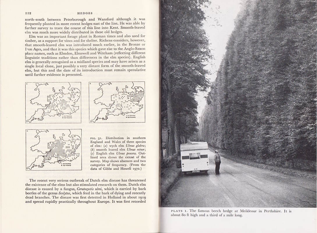 Pollard, Ernest ; Hooper, Maxwell Doriena ; Moore, Norman Winfrid : Hedges. With 20 Plates, 56 Text figures and 20 Tables