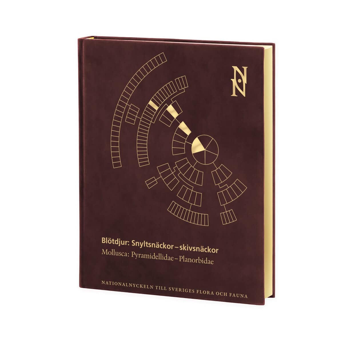 Proschwitz, Ted von ; Roth, Jonas ; Lundin, Kennet : Blötdjur: Snyltsnäckor–skivsnäckor. Mollusca: Pyramidellidae–Planorbidae