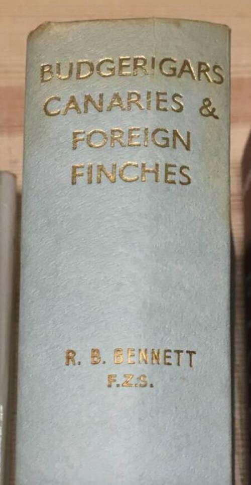 R B Bennett : Budgerigars, Canaries and foreign finches