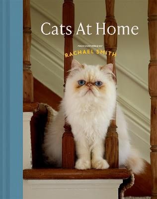 Rachael Smith : Cats at Home