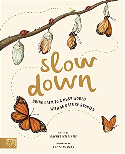 Rachel Williams : Slow Down