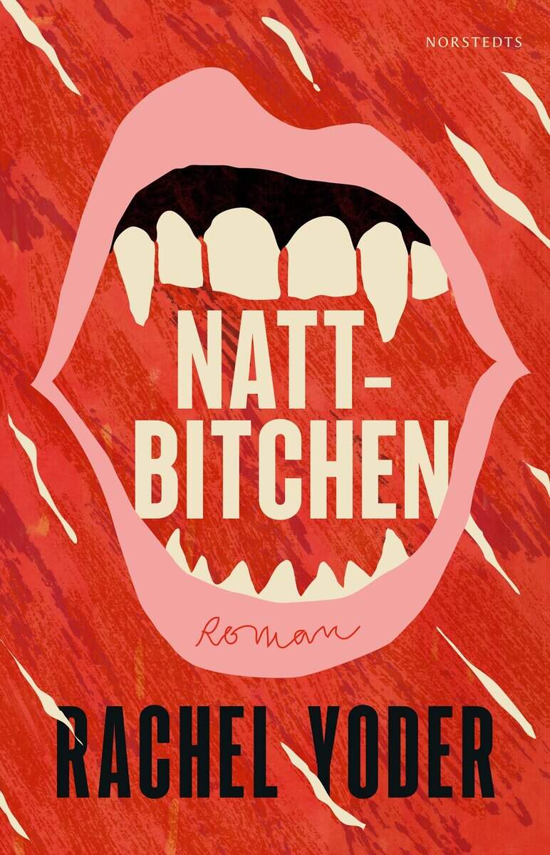 Rachel Yoder : Nattbitchen