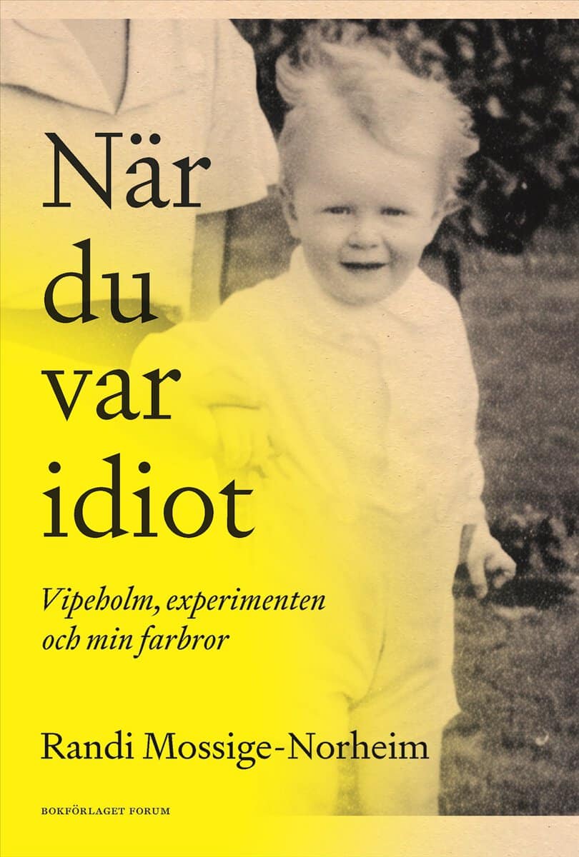 Randi Mossige-Norheim : När du var idiot