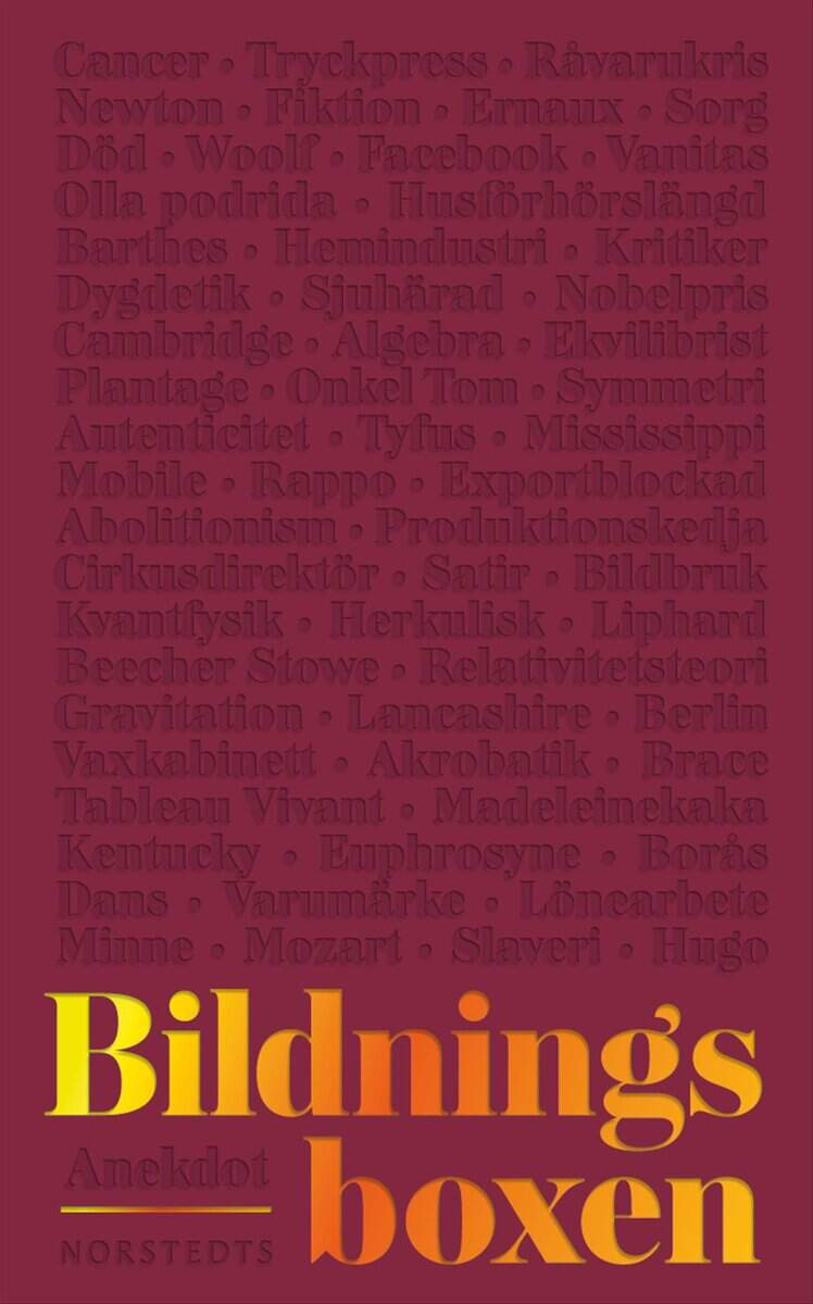 Ravanis, Julia ; Fredrikzon, Johan ; Runefelt, Leif ; Nilsson, Malin ; Bharathi Larsson, Åsa : Bildningsboxen 2