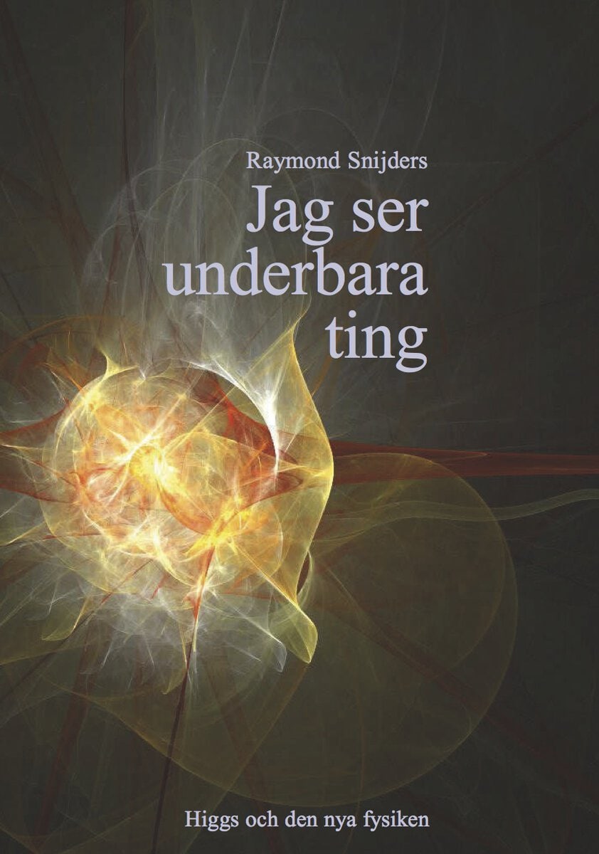 Raymond Snijders : Jag ser underbara ting