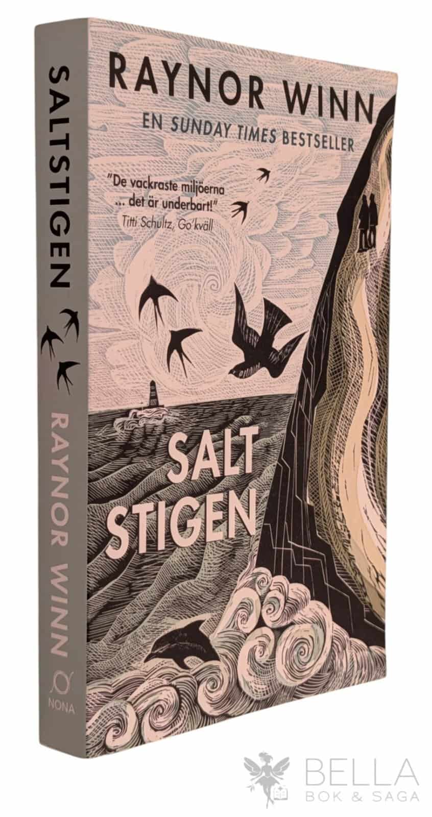 Raynor Winn : Saltstigen