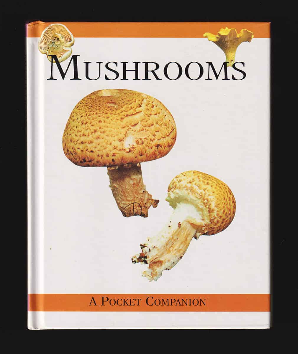 Rebecca Kingsley : Mushrooms (A pocket companion)