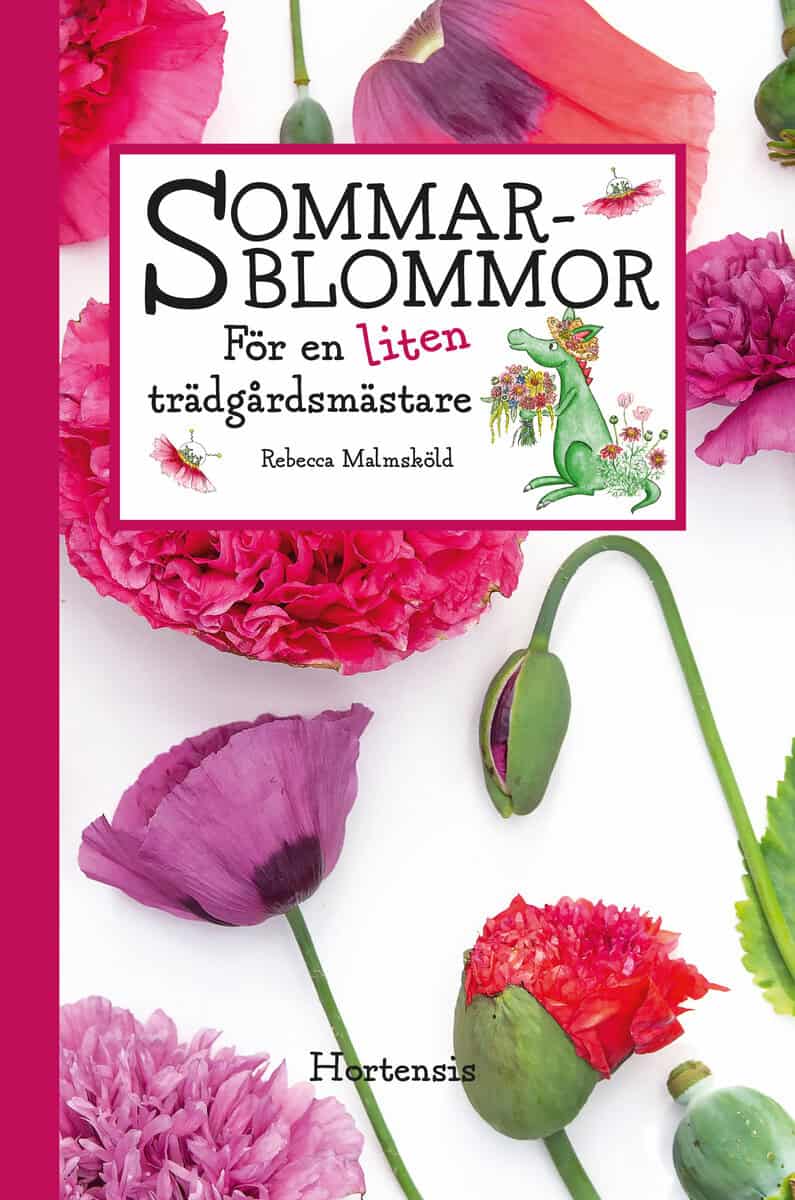 Rebecca Malmsköld : Sommarblommor