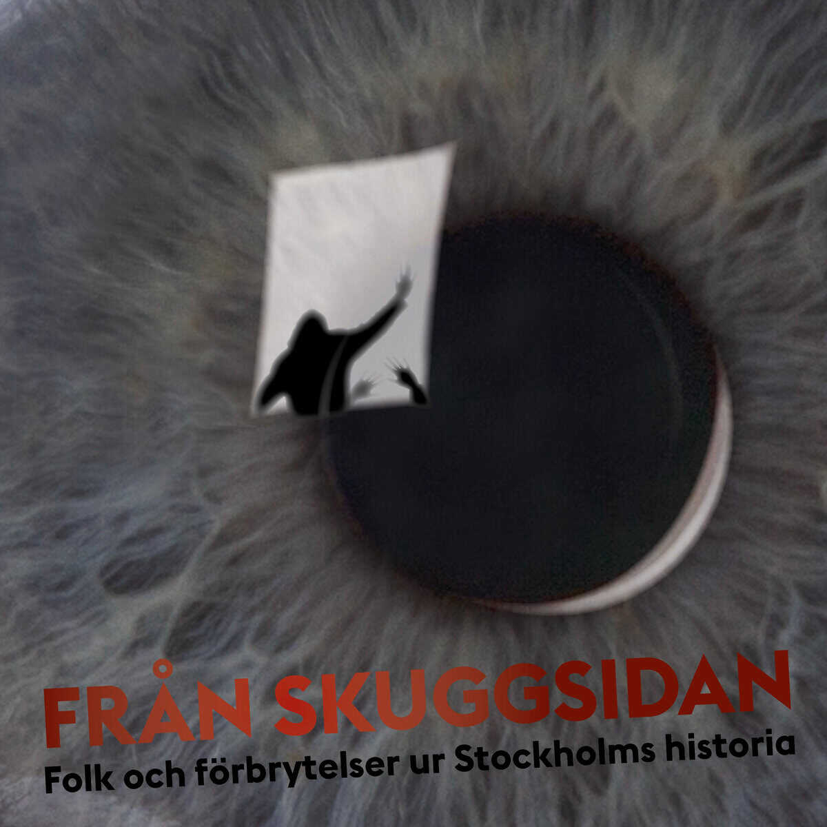 Rebecka Lennartsson : Från skuggsidan