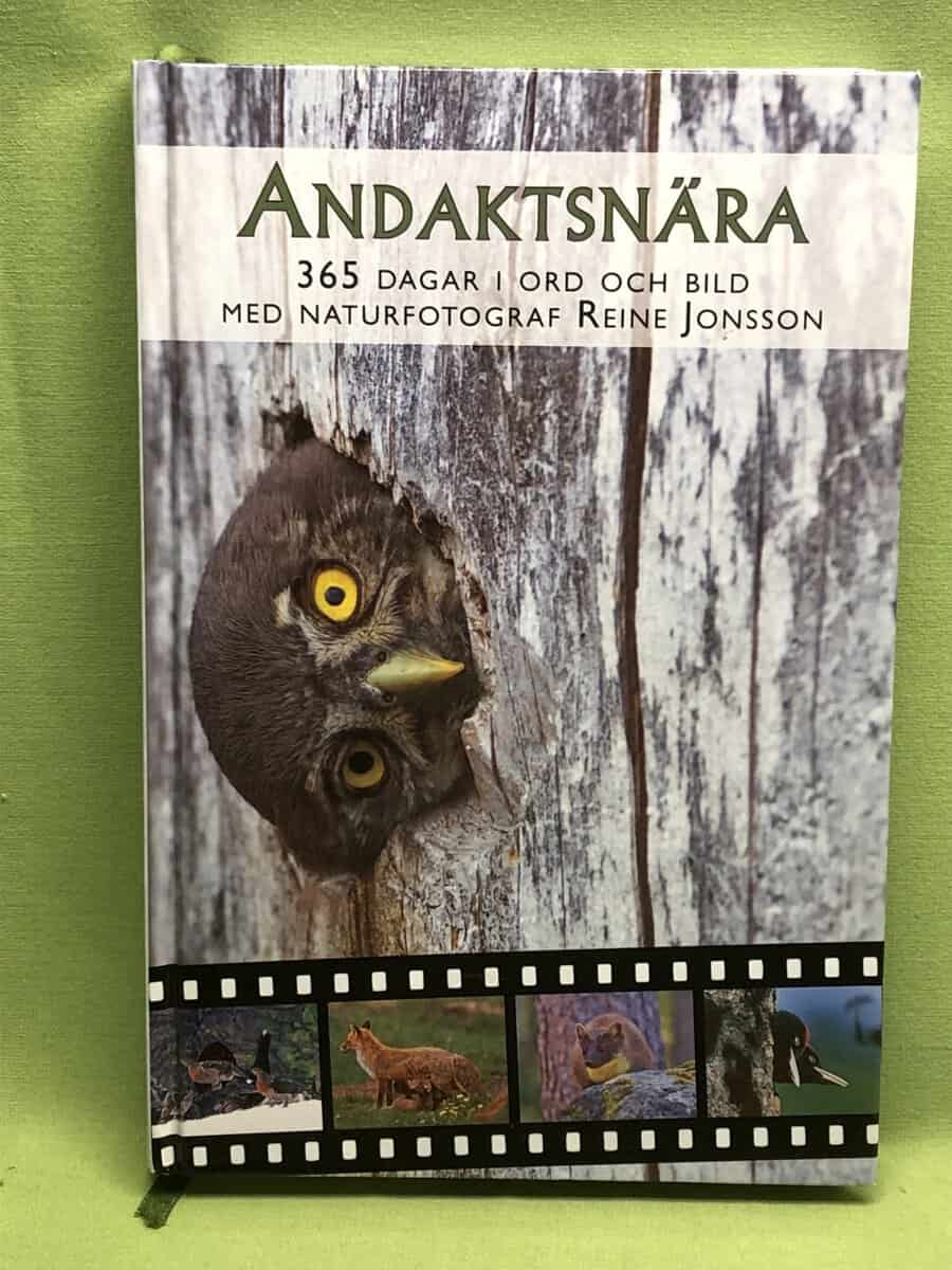 Reine Jonsson : Andaktsnära