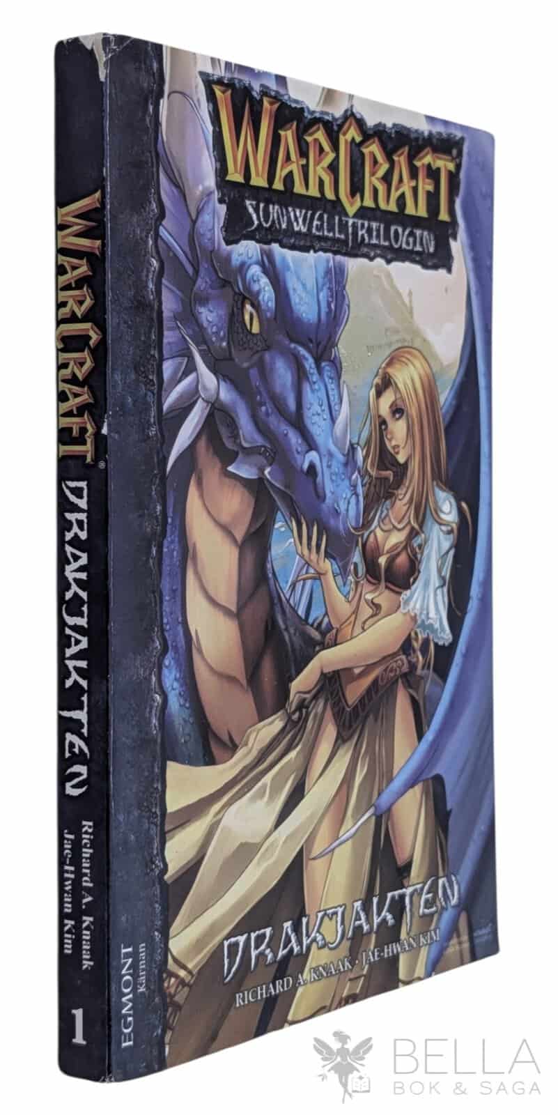 Richard A. Knaak : Drakjakten