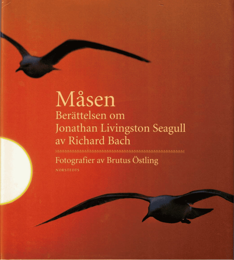 Richard Bach : Måsen
