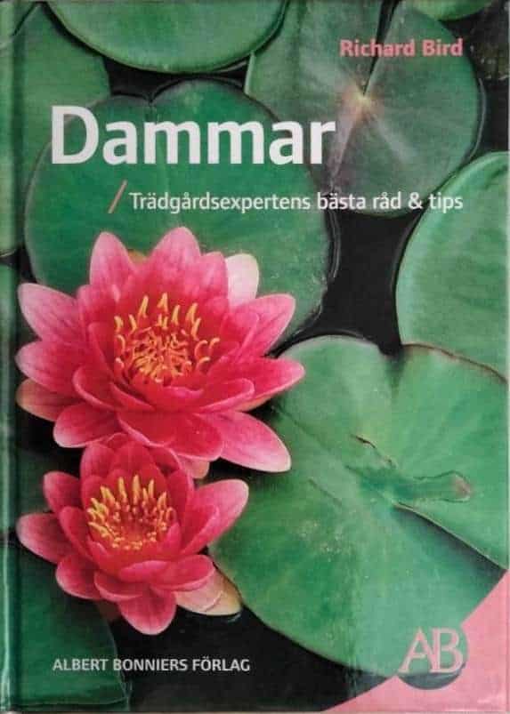 Richard Bird : Dammar