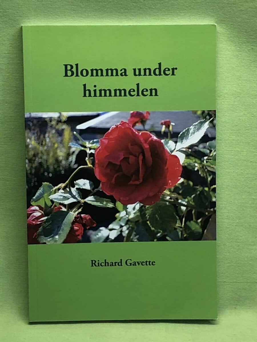 Richard Gavette : Blomma under himmelen