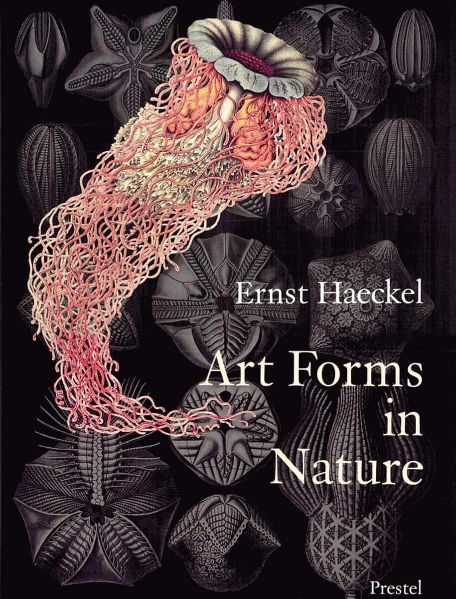 Richard Hartmann : Art forms in nature