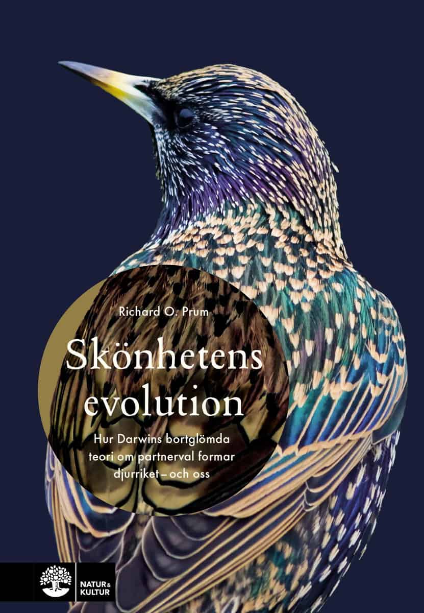 Richard O. Prum : Skönhetens evolution : hur Darwins bortglömda teori om det sexuella urvalet formar djurriket - och oss