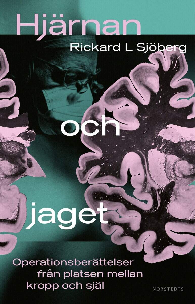 Rickard L. Sjöberg : Hjärnan och jaget : operationsberättelser från platsen mellan kropp och själ